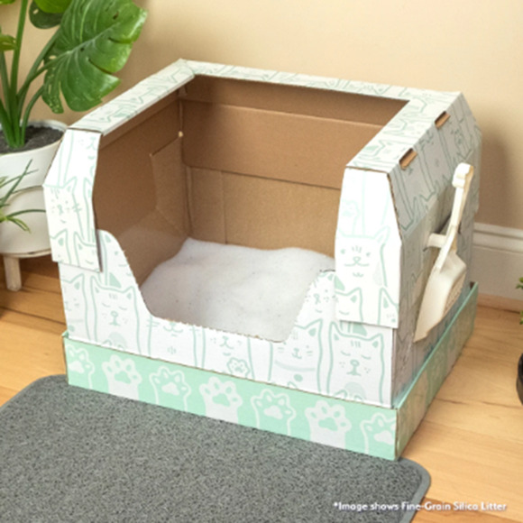 Kitty Poo Club Standard Disposable Litter Box with Litter Box Dome (No Litter) - Picture 1 of 6